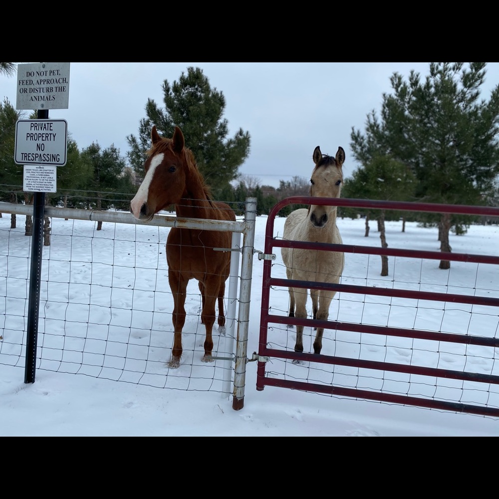 Meet your Posher, Aranxa